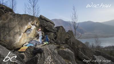 Thomas in "Angel catch sugar"